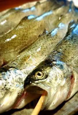 林檎の木 酒彩ダイニング