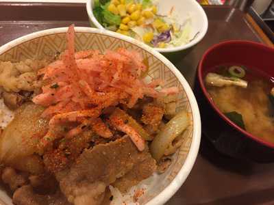 すき家 新潟河渡店