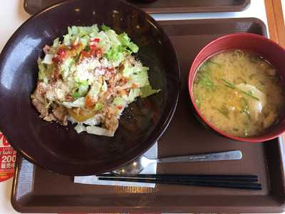 すき家 新潟河渡店