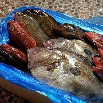 海鮮おどりや市場 京橋店