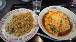 餃子の王将 醍醐