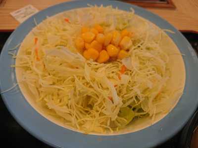 松屋 新潟豊栄店