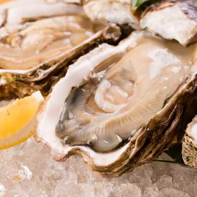 和 酒 肴 菜 一 Kazu