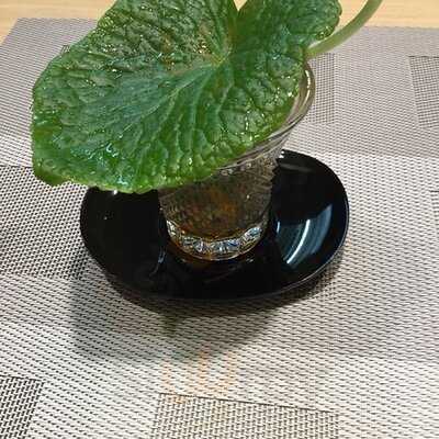 日本料理 なかむら