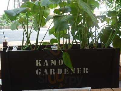 カモンホステル カフェ