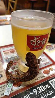 すき家 烏丸押小路店