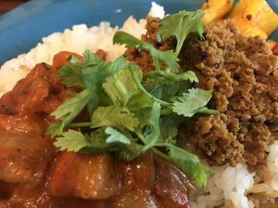 スパイスカリー て