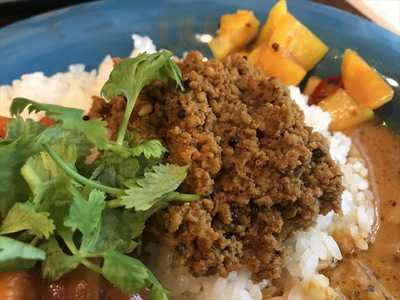 スパイスカリー て