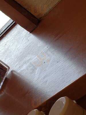 和食さと 放出店