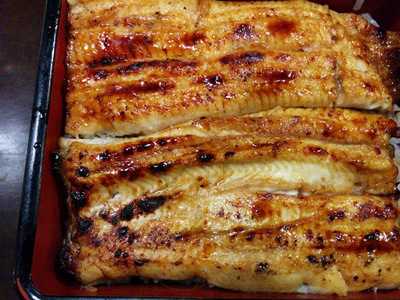 江戸前うなぎ あさず