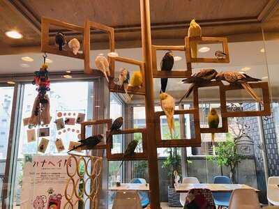 ことりカフェ 心斎橋店