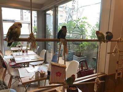 ことりカフェ 心斎橋店
