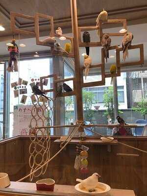 ことりカフェ 心斎橋店