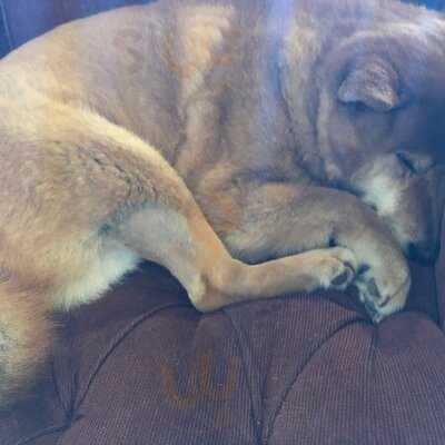 スローフードカフェ＆ハンドメイド雑貨 ホソウヤ