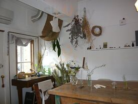 スイス コーヒープランツ