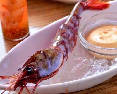 活け海老バル Orb 天満店