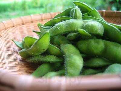 やわらか 法善寺店