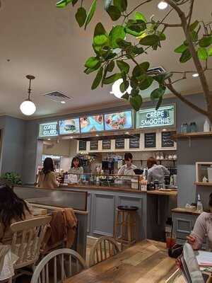 ジェラート ピケ カフェ ビオ コンセプト 京都 ザ・キューブ店