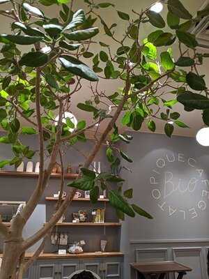 ジェラート ピケ カフェ ビオ コンセプト 京都 ザ・キューブ店