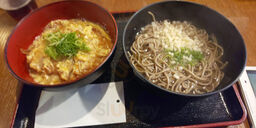 串てんぷら&一品料理 わが家