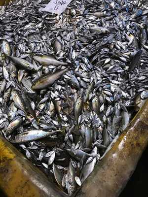 新大阪海鮮食堂 おーうえすと