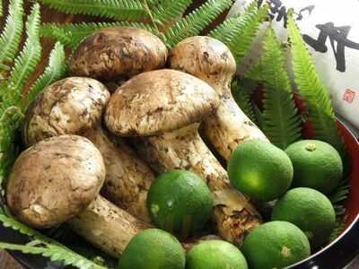 四季の味 今井きしょう