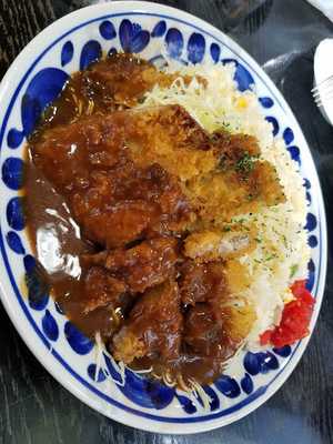 リトルドラゴン