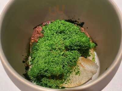 Vel Rosier (ベルロオジエ)