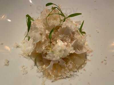 Vel Rosier (ベルロオジエ)