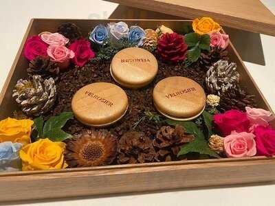 Vel Rosier (ベルロオジエ)