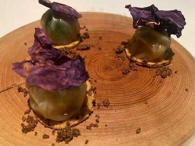 Vel Rosier (ベルロオジエ)