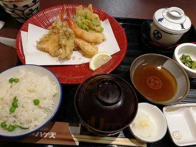 彩ハゲ天 大丸京都店