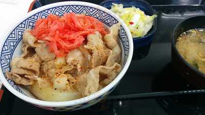 吉野家　玉出店