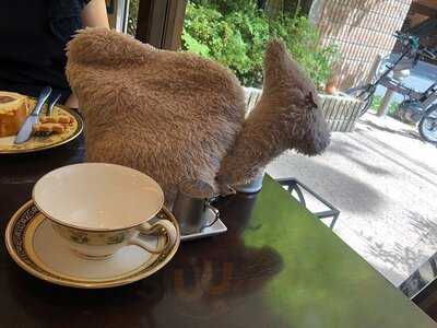 Tea Room森のらくだ