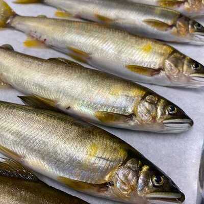 粗末 はまここ 十日市本店