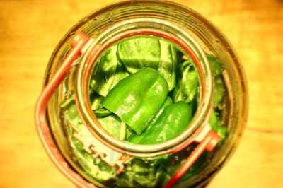 炉端と酒 五臓六腑