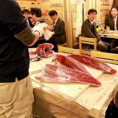 鮪大学水産研究所 梅田店