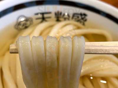 手作りうどん 天粉盛