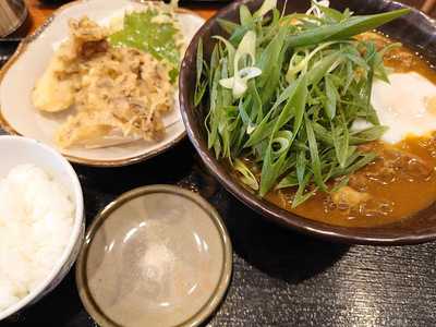 手作りうどん 天粉盛