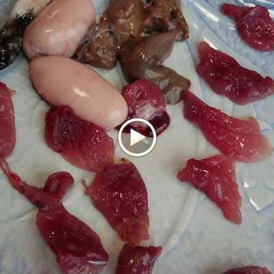 すっぽん料理麦