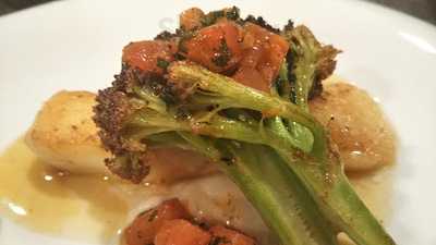 ミーア ジョイア プリモ