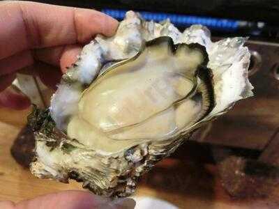 かき小屋フィーバー  アメ村店