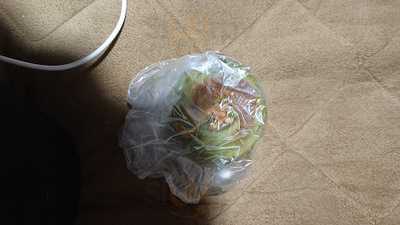 パンドレ 北山店