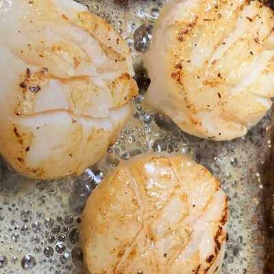 カジュアル鉄板 四季 心斎橋店