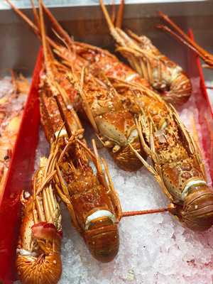 日本酒とお魚きっちん 祐星