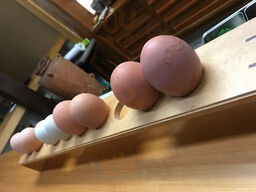 京都岡崎 いく田