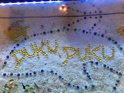 アジアンバルpukupukuなんば店