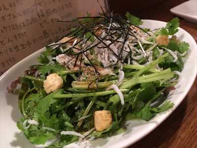 とん足 びーちゃん