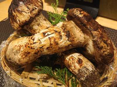 酒菜 味彩 ためきち