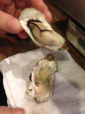 魚居酒屋 あぷちゃ2号